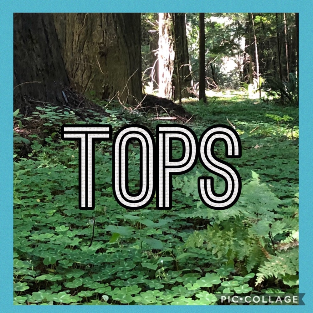 Tops - Picture 4 of 4